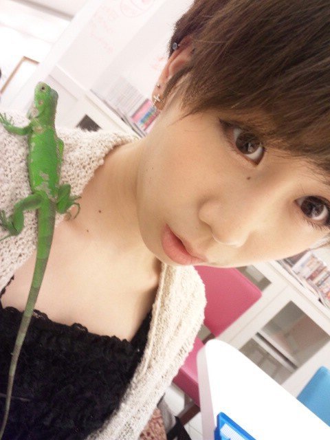 大家志津香の画像 24.media.tumblr.com