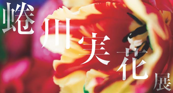 蜷川実花の画像 banbi.pref.niigata.lg.jp