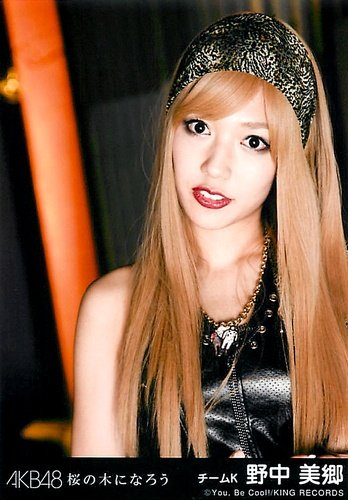 野中美郷の画像 search.yahoo.co.jp