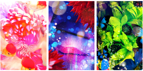 蜷川実花の画像 markezine.jp