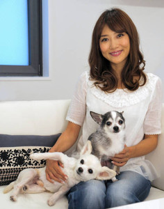 藤崎奈々子の画像 shippo-news.seesaa.net