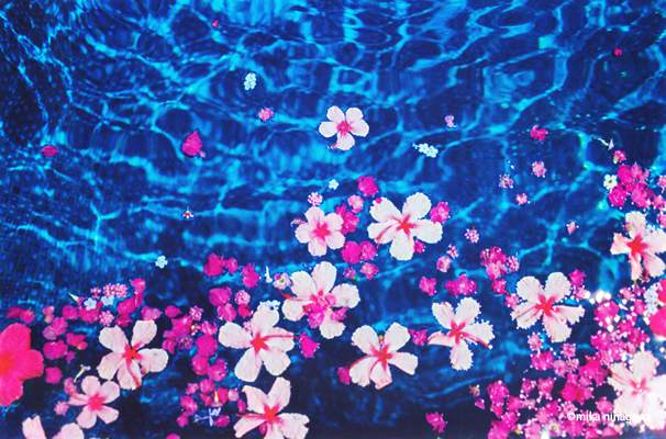 蜷川実花の画像 search.yahoo.co.jp