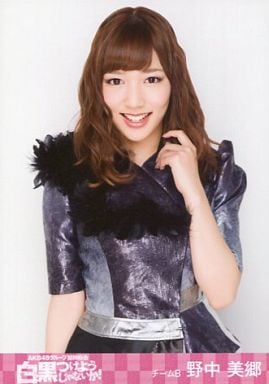 野中美郷の画像 www.suruga-ya.jp
