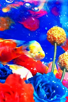 蜷川実花の画像 www.pinterest.com