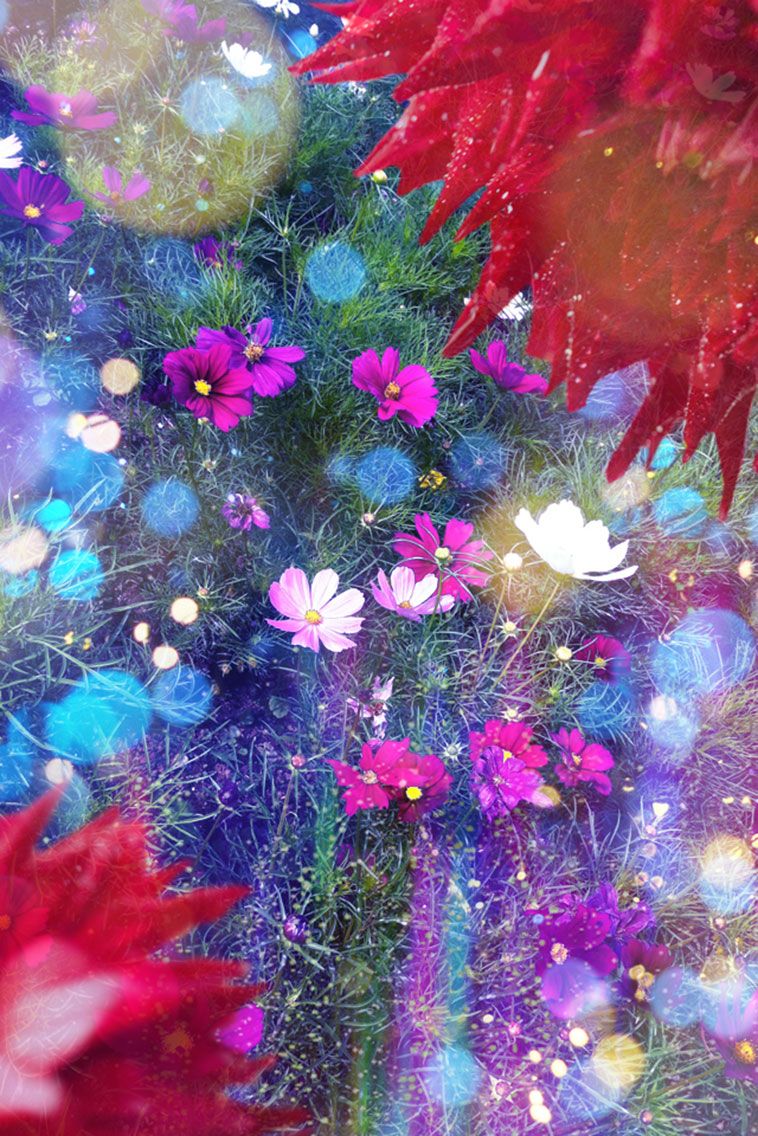 蜷川実花の画像 www.pinterest.com