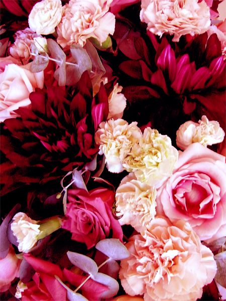 蜷川実花の画像 www.pinterest.com