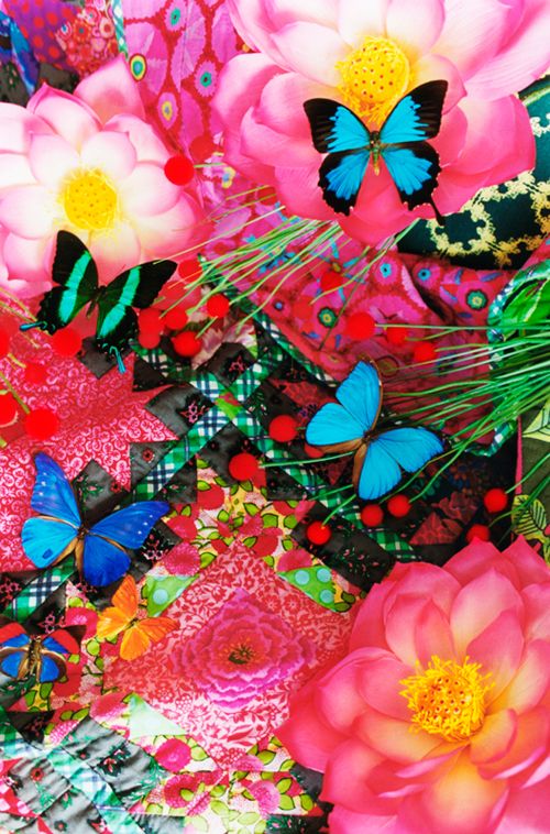蜷川実花の画像 www.pinterest.com