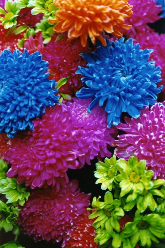 蜷川実花の画像 www.pinterest.com