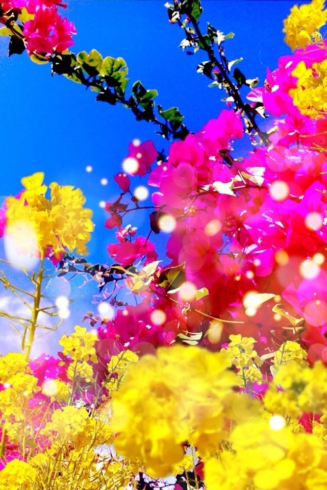 蜷川実花の画像 www.pinterest.com