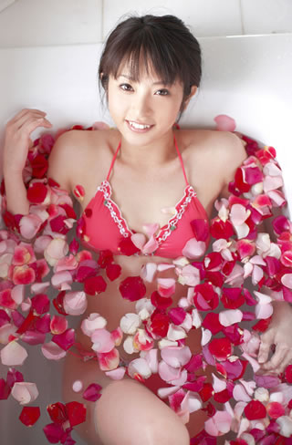 加藤沙耶香の画像 www.sofmap.com