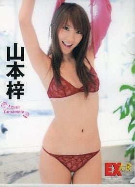 山本梓の画像 www.suruga-ya.jp