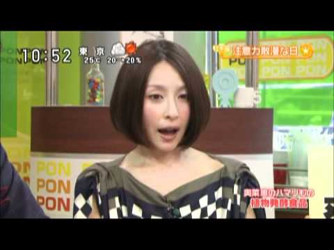 奥菜恵の画像 www.youtube.com